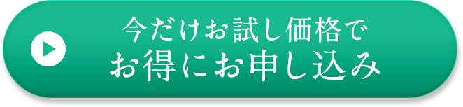 今だけお試し価格でお得にお申し込み