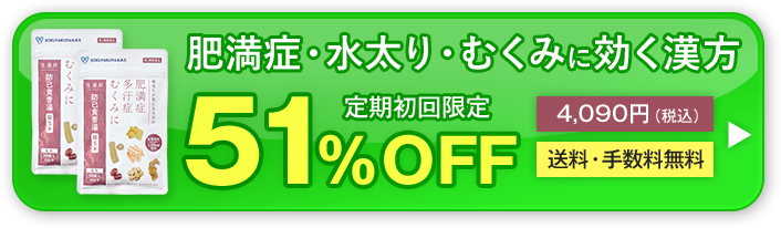 初回限定51％OFF