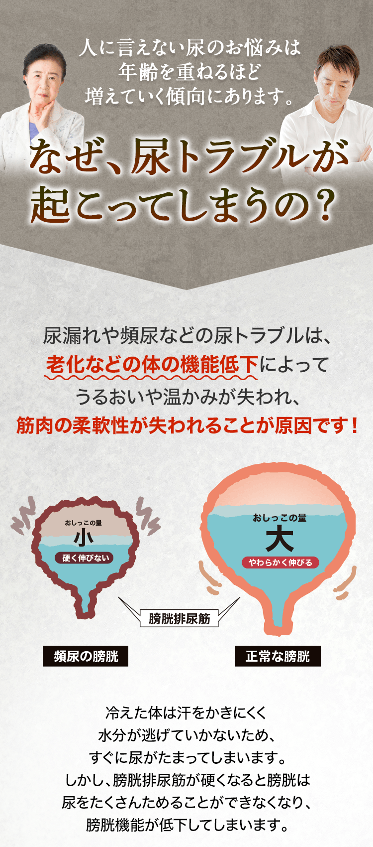 人に言えない尿のお悩みは年齢を重ねるほど増えて行く傾向にあります。なぜ尿トラブルが起こってしまうの？