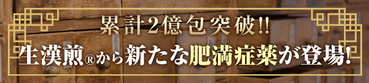 累計２億包突破の生漢煎シリーズから新発売