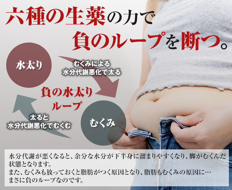 続けやすさをと飲みやすさを実現した生漢煎の処方です。