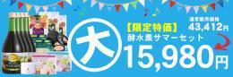 【限定特価】酵水素サマーセット　大