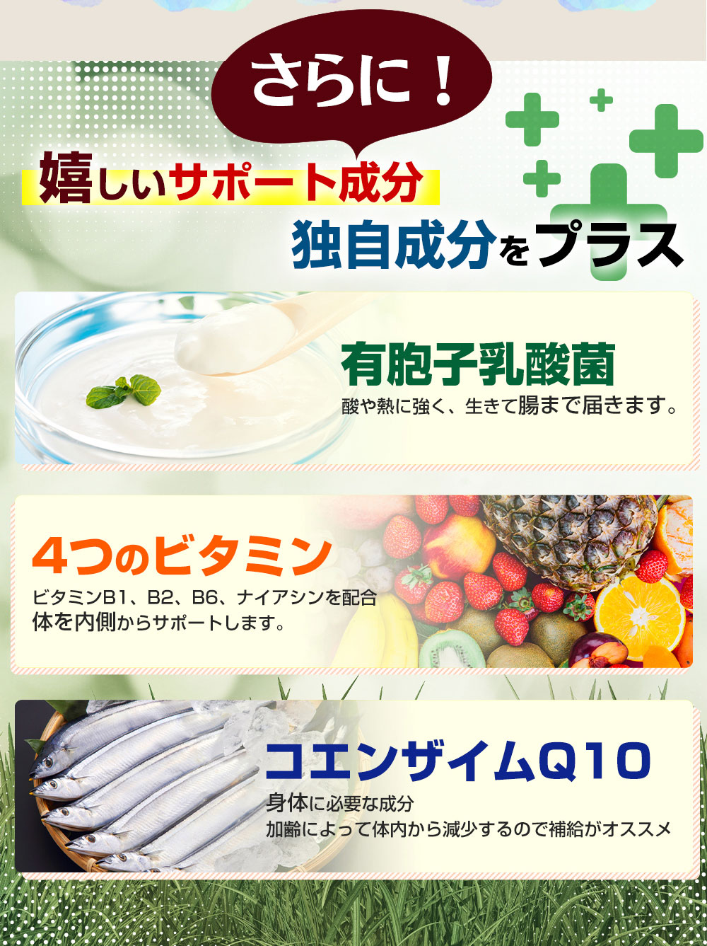 さらに！嬉しいサポート成分、独自成分をプラス