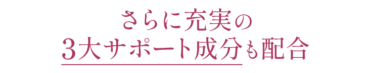 さらに充実の3大サポート成分も配合