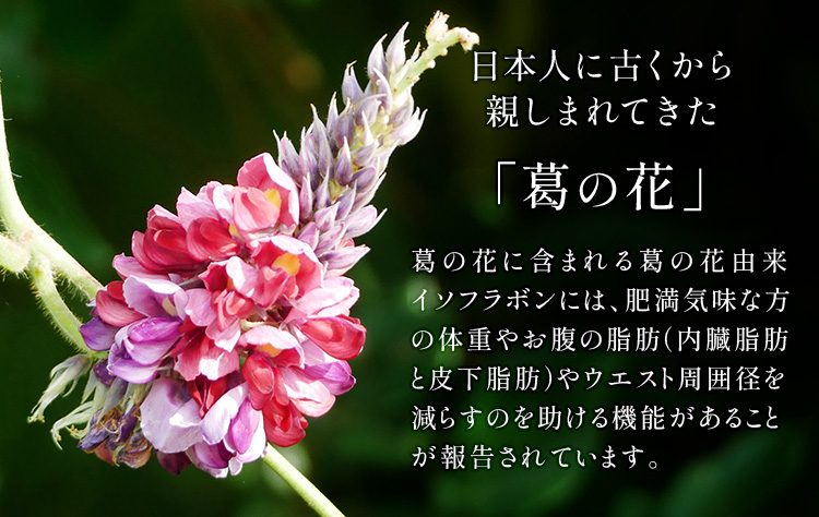 日本人に古くから親しまれてきた「葛の花」。葛の花に含まれる葛の花由来イソフラボンには、肥満気味な方の体重やお腹の脂肪（内臓脂肪と皮下脂肪）やウエスト周囲径を減らすのを助ける機能があることが報告されています。