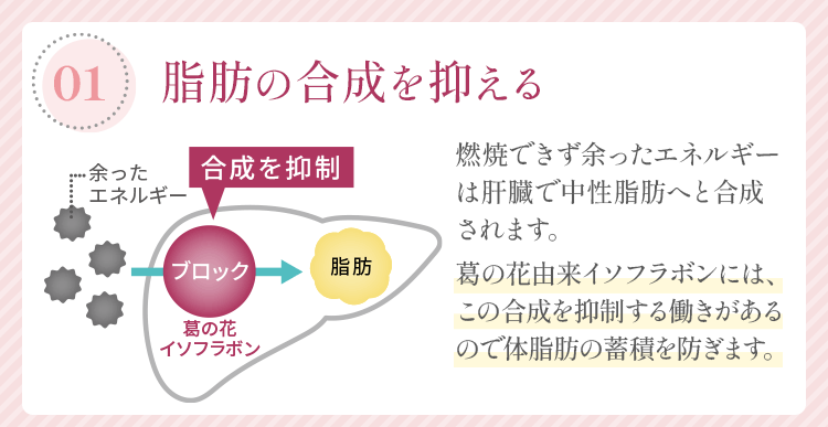 「01：脂肪の合成を抑える」燃焼できず余ったエネルギーは肝臓で中性脂肪へと合成されます。葛の花由来イソフラボンには、この合成を抑制する働きがあるので体脂肪の蓄積を防ぎます。