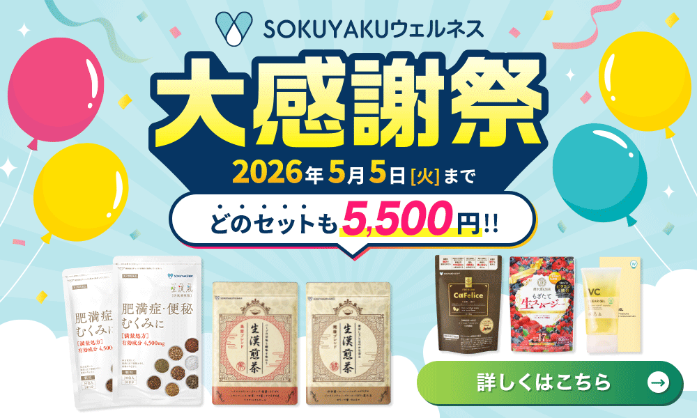 SOKUYAKUウェルネス大感謝祭