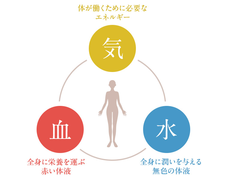 気・血・水の3要素