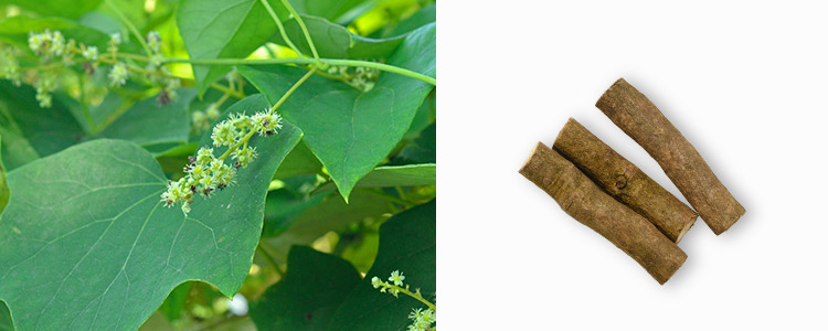 防已（ボウイ）