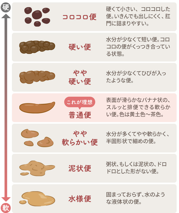 腸内環境の状態をセルフチェック